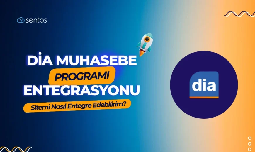 E-ticaret Sitemi DİA Muhasebe Programı ile Nasıl Entegre Edebilirim?